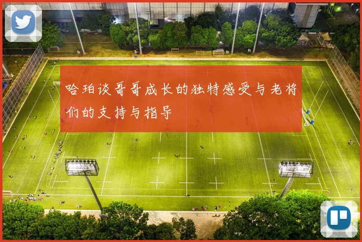哈珀谈哥哥成长的独特感受与老将们的支持与指导