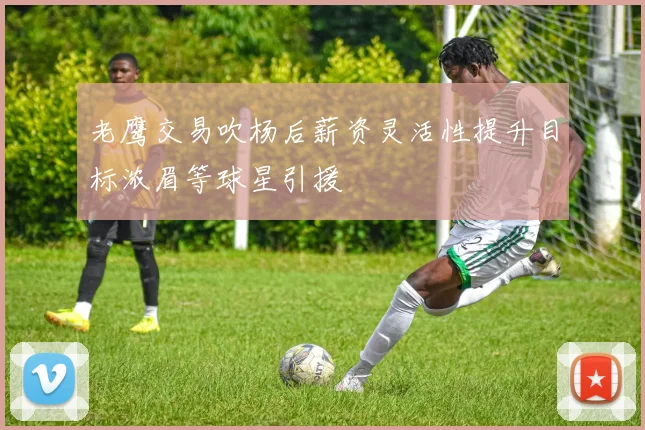 老鹰交易吹杨后薪资灵活性提升目标浓眉等球星引援