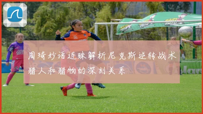 周琦妙语连珠解析尼克斯逆转战术猎人和猎物的深刻关系